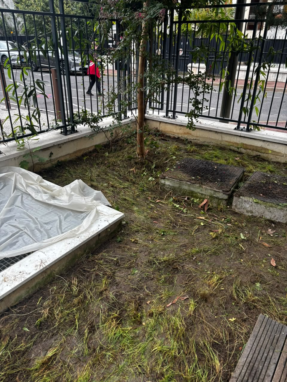 Jardin dégagé après l’intervention de Confort Chez Soi