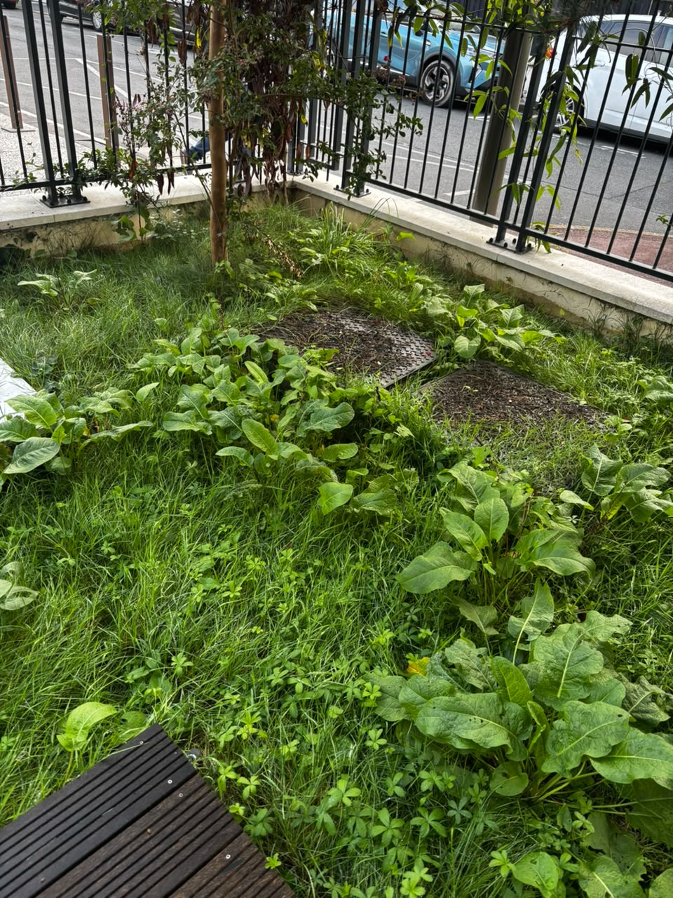 Jardin envahi par les herbes avant l’intervention de Confort Chez Soi
