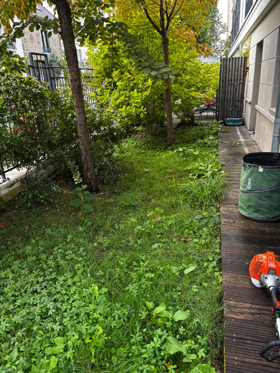Vue d’ensemble du jardin avant les travaux d’entretien